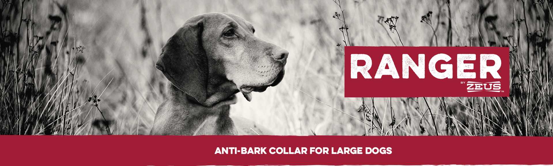Zeus Ranger Anti-Bark Collar for Large Dogs