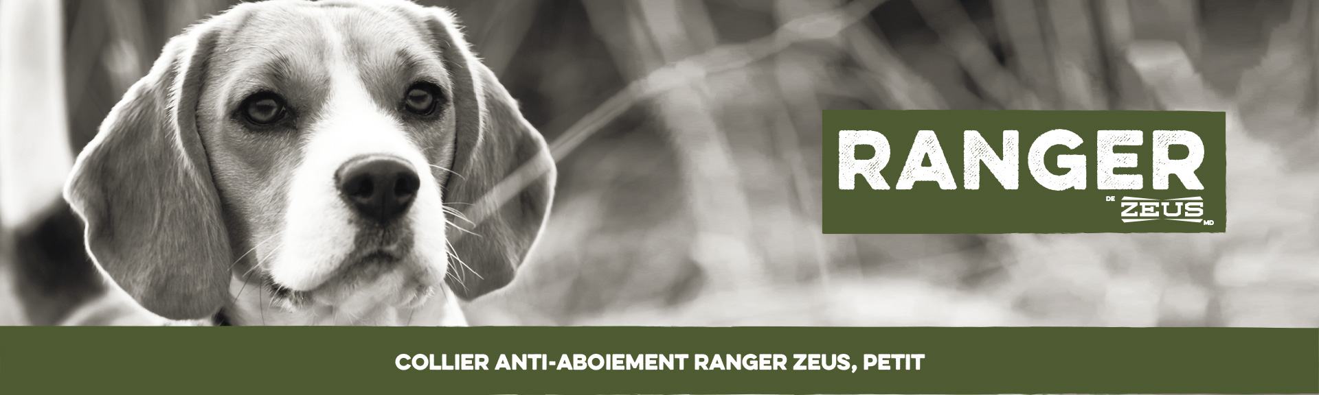 Le Collier anti-aboiement Ranger Zeus pour chiens de petite taille