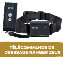 La Télécommande de dressage Ranger Zeus