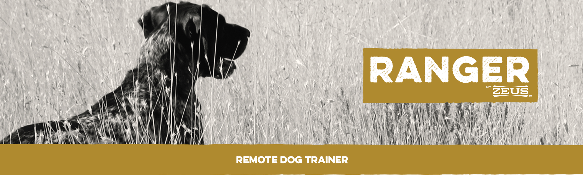 Zeus Ranger Remote Dog Trainer