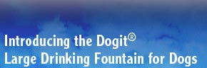 Introducing th Dogit® Large Drinking Foutain for Dogs