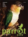 Click here to view Parrot Life 2