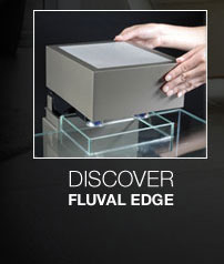 Discover Fluval Edge